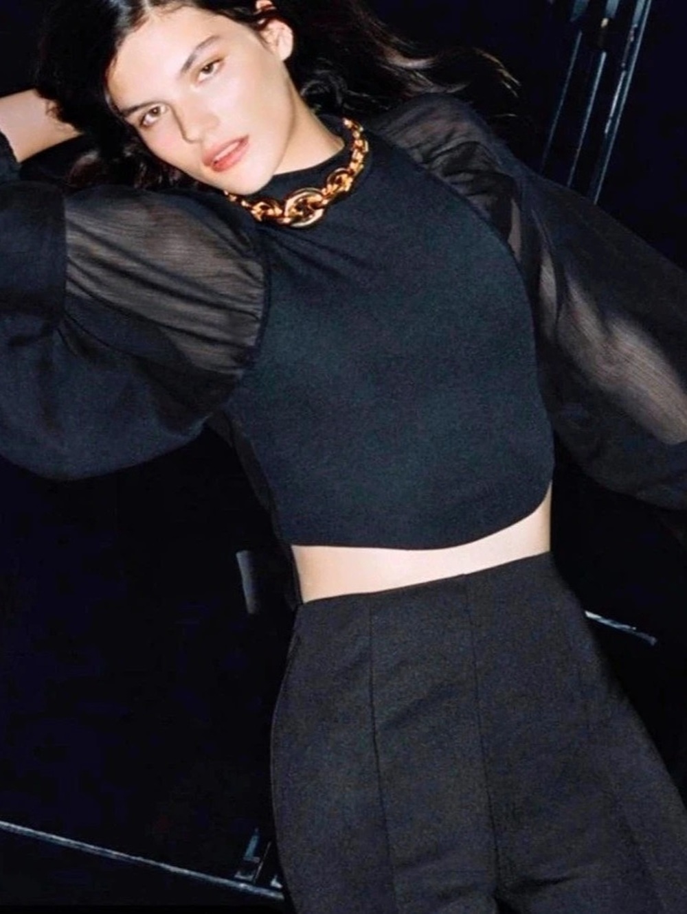 Zara Black Sheer Sleeve Blouse